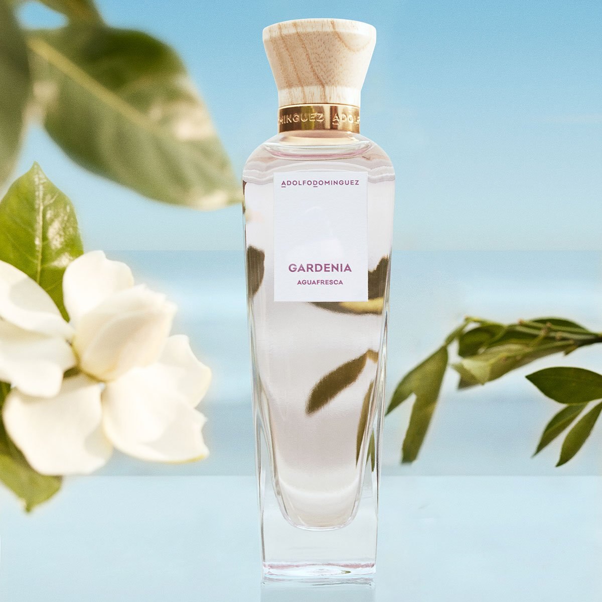Foto 6 pulgar | Perfume Agua Fresca de Gardenia Adolfo Dominguez para Mujer Set 120 ml Eau De Toilette Spray