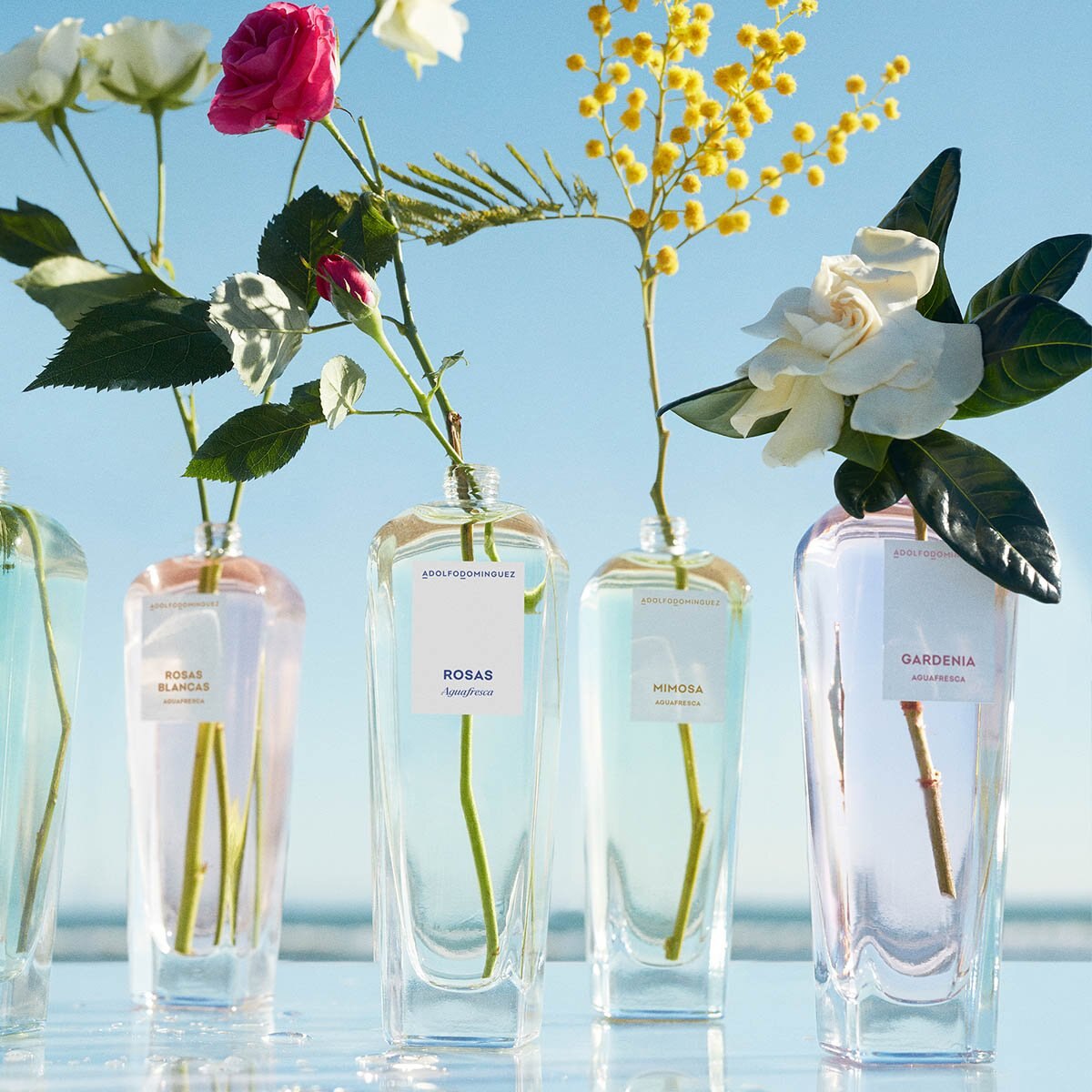 Foto 7 pulgar | Perfume Agua Fresca de Gardenia Adolfo Dominguez para Mujer Set 120 ml Eau De Toilette Spray