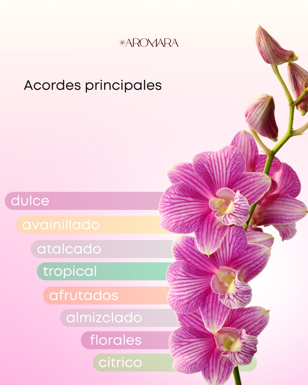 Foto 4 pulgar | Decant Lattafa Yara Y Yara Candy