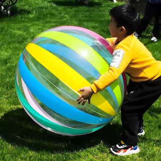 Foto 2 | Pelota de Playa Inflable Eo Safe Imports Esi-18384 Multicolor