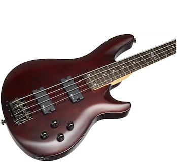 Foto 4 | Bajo Eléctrico 4 Cuerdas Sgr By Schecter C-4 Bass Walnut Satinado