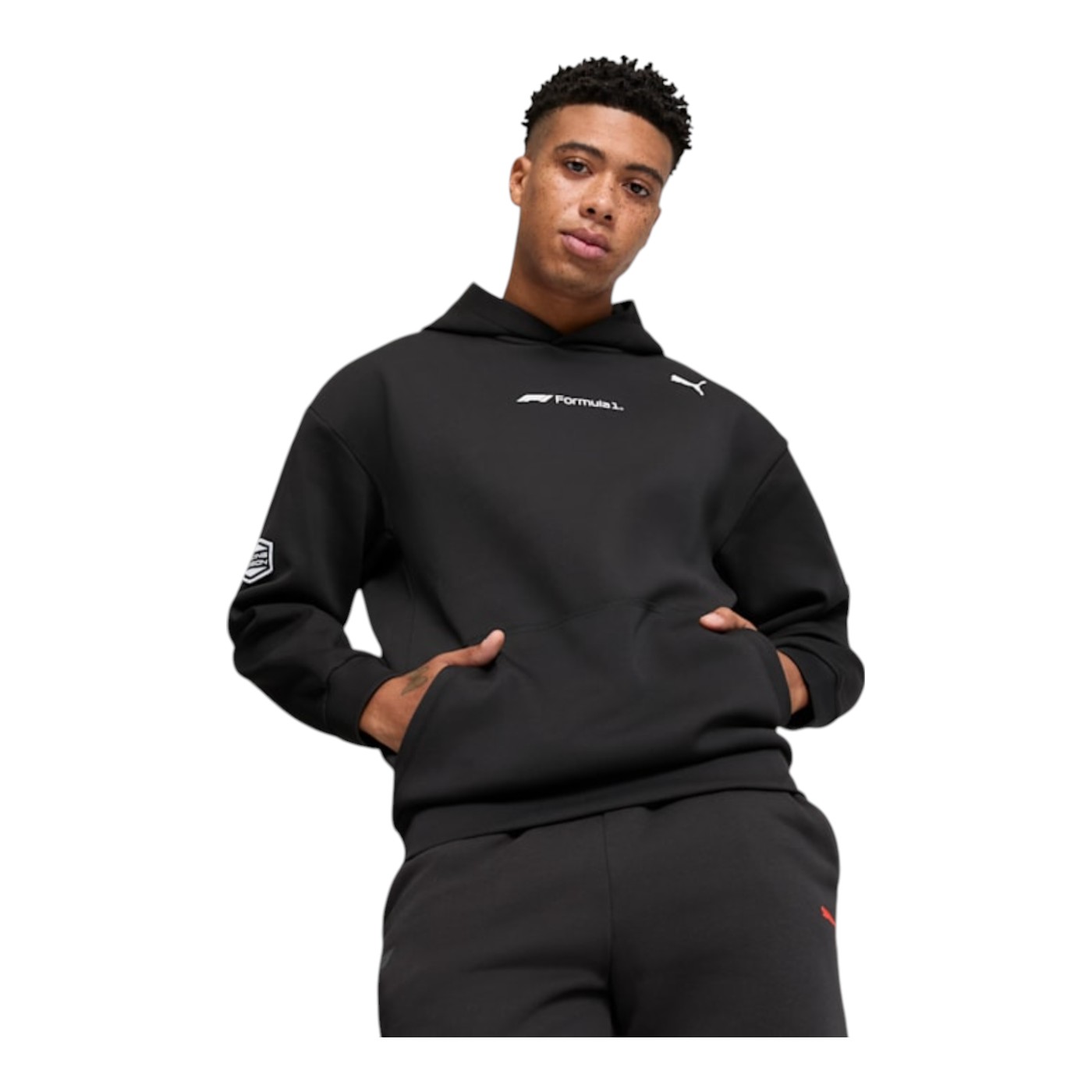 Foto 4 pulgar | Sudadera con Capucha Puma F1 Statement Graphic para Hombre