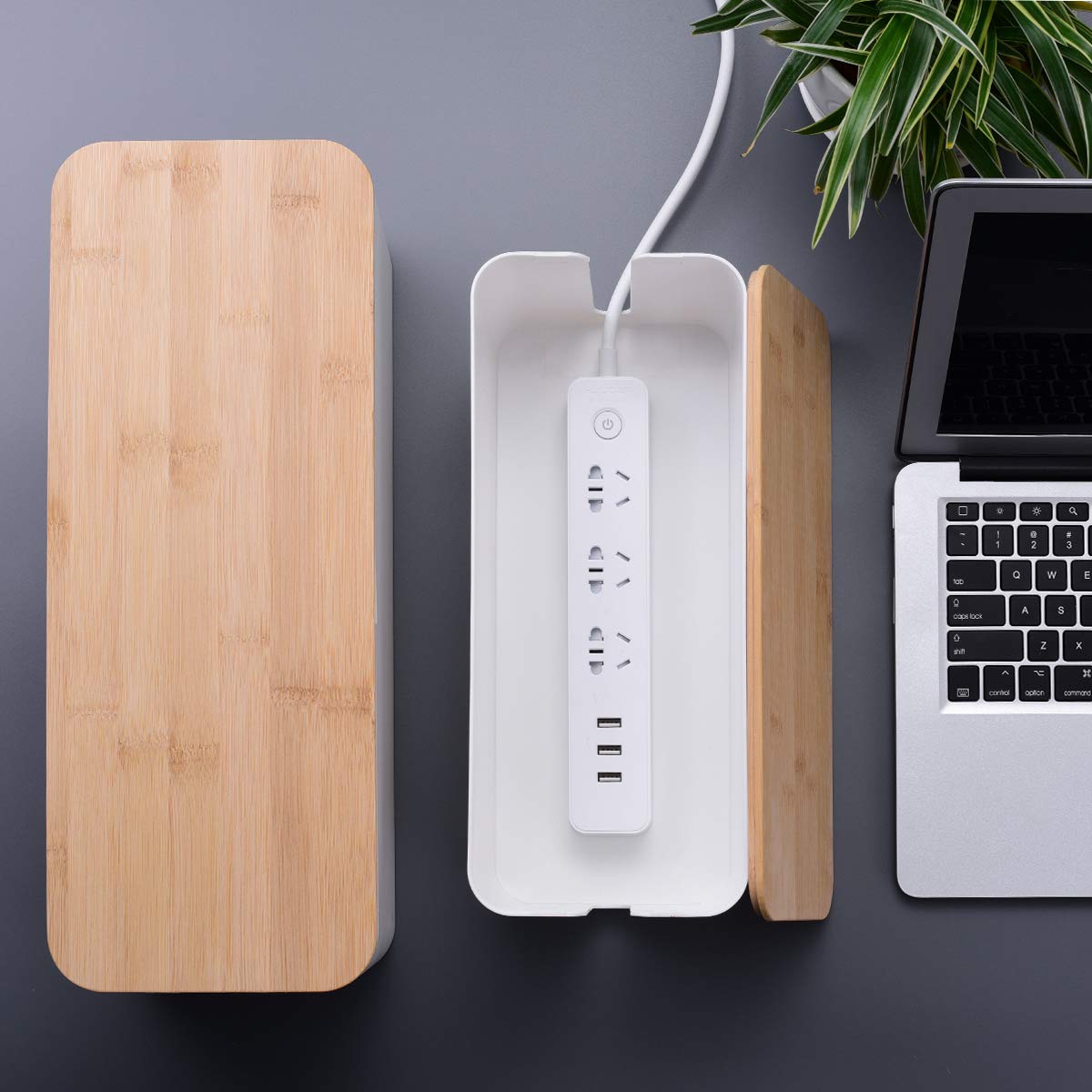 Foto 8 pulgar | Caja de Gestión de Cables Chouky Estilo Madera 2 Unidades Blanco - Venta Internacional