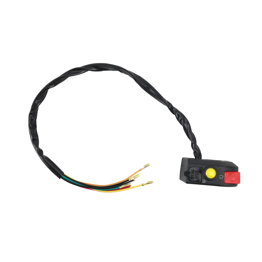 Interruptor Encendido/apagado Roda con Usb Universal 2.2a 12v