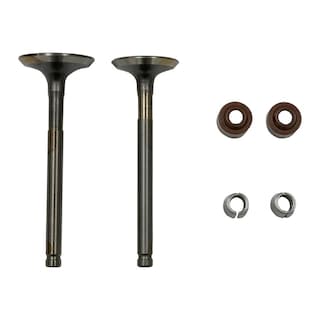 Foto 1 | Valvula Adm/esc C/sellos/candados Set Italika Ds 125 (17-18)