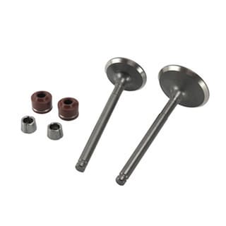 Foto 1 | Valvula Adm/esc C/sellos/candados Set Italika Ds 150 (16-23)