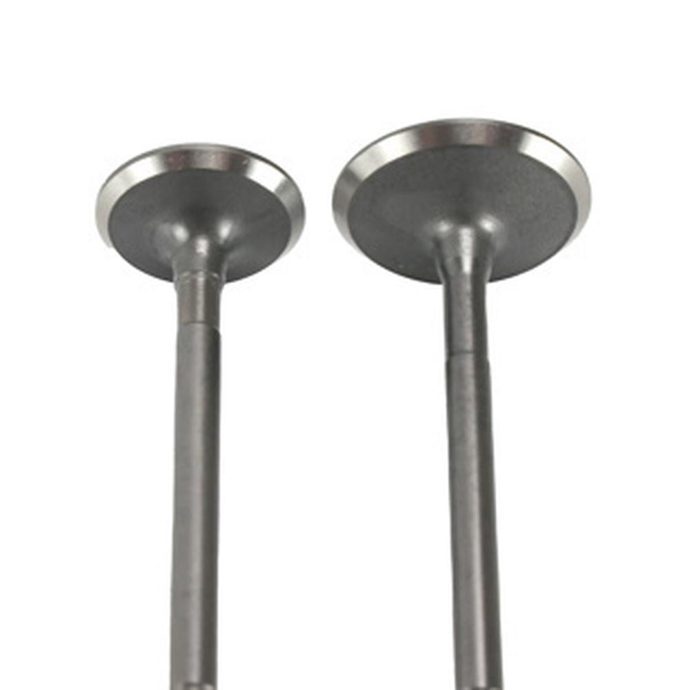 Foto 3 pulgar | Valvula Adm/esc C/sellos/candados Set Italika Ds 150 (16-23)