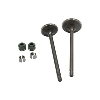 Foto 1 | Valvulas Adm/esc Set Vento Crossmax 250 (20-21) (wstd)