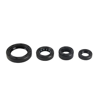 Foto 1 | Reten Motor Set Bajaj Pulsar Ns 160 (19-24)