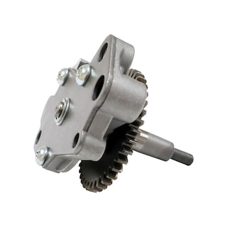 Foto 1 | Bomba Aceite Italika Vort-x 300 (17-24)