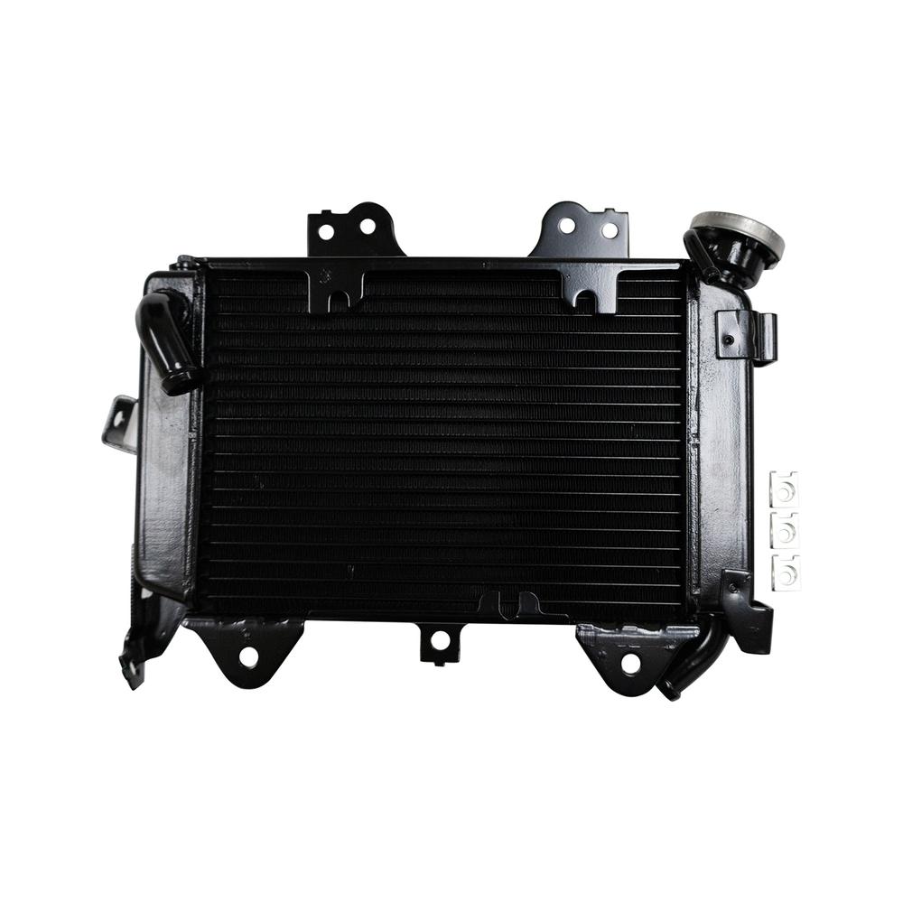 Foto 2 | Radiador Completo Bajaj Pulsar Ns 200 (12-24)