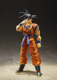 Foto 7 | Figura de Acción Tamashii Nations Dragon Ball Z Son Goku - Venta Internacional