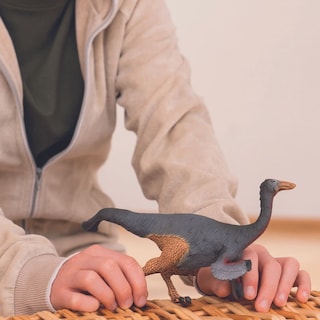 Foto 2 | Figura de Dinosaurio Schleich Gallimimus Realistic Jurassic - Venta Internacional