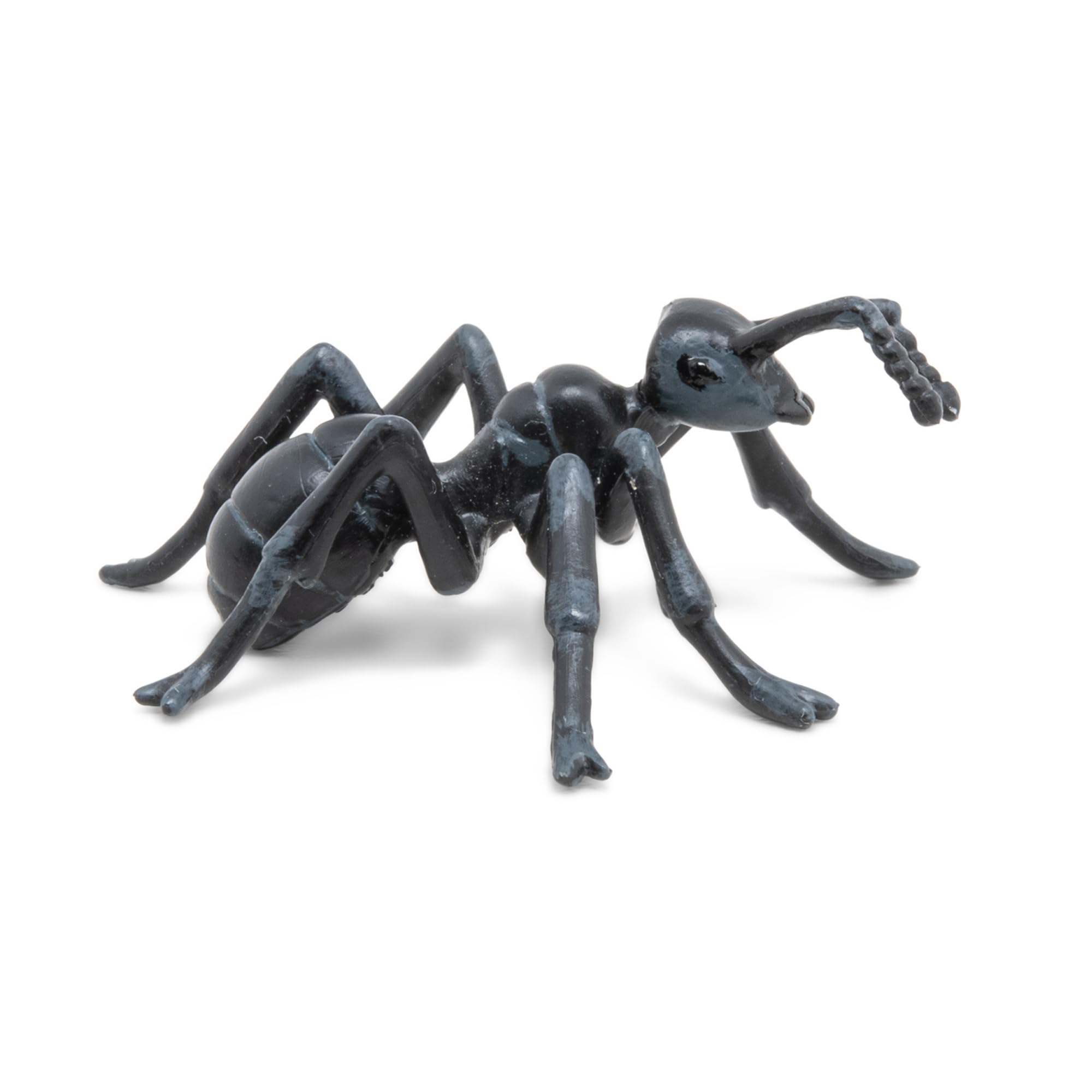 Foto 2 pulgar | Figura Papo Ant Wild Animal Kingdom 4,5 X 5,5 X 1,5 cm Pintada A Mano - Venta Internacional