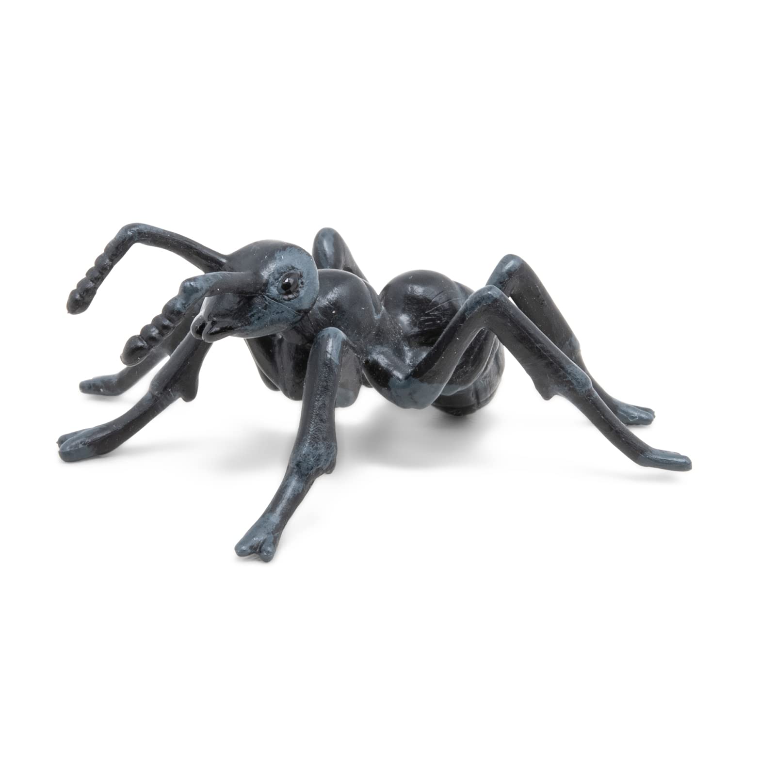 Foto 3 | Figura Papo Ant Wild Animal Kingdom 4,5 X 5,5 X 1,5 cm Pintada A Mano - Venta Internacional