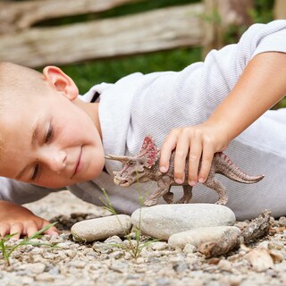 Foto 4 | Figura De Dinosaurio Schleich Triceratops Realistic Jurassic- Venta Internacional