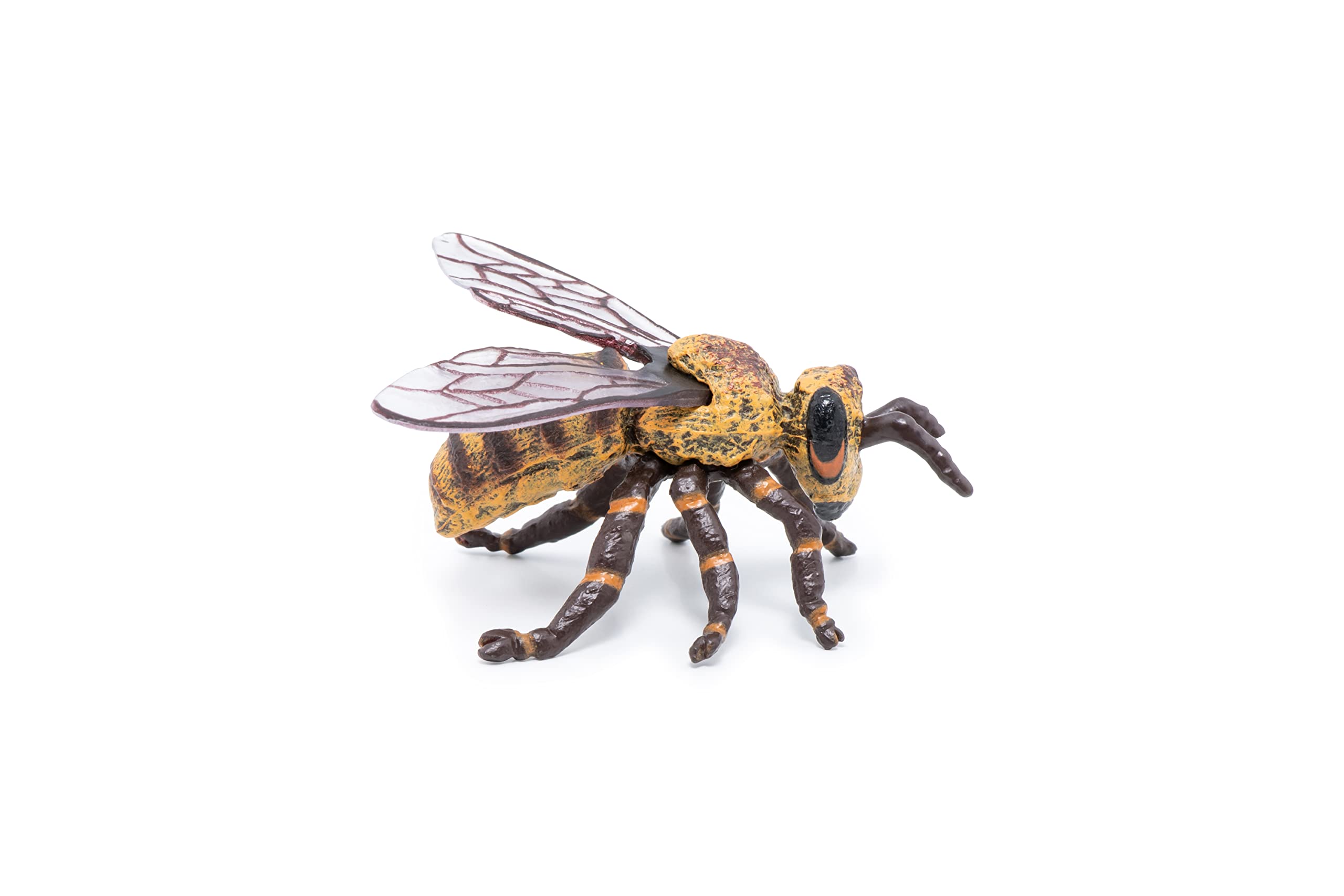 Foto 5 | Figura De Papo Wild Animal Kingdom Bee 50256, Coleccionable Durante Más De 3 Años - Venta Internacional.