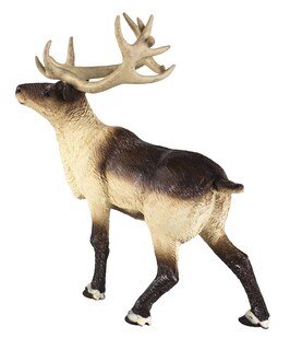 Foto 4 | Juguete Figurine Safari Ltd. Reindeer 3.75 Arctic Animal Para Niños Mayores De 3 Años - Venta Internacional.