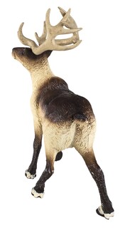 Foto 5 | Juguete Figurine Safari Ltd. Reindeer 3.75 Arctic Animal Para Niños Mayores De 3 Años - Venta Internacional.