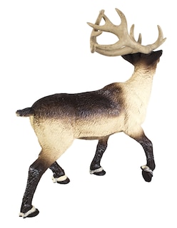 Foto 6 | Juguete Figurine Safari Ltd. Reindeer 3.75 Arctic Animal Para Niños Mayores De 3 Años - Venta Internacional.