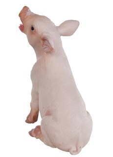 Foto 2 | Figura Safari Ltd Safari Farm Sitting Piglet Para Niños Mayores De 3 Años - Venta Internacional.