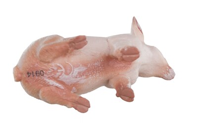 Foto 5 | Figura Safari Ltd Safari Farm Sitting Piglet Para Niños Mayores De 3 Años - Venta Internacional.