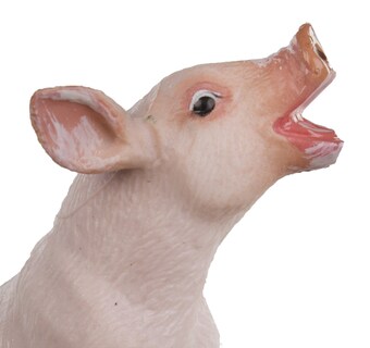 Foto 6 | Figura Safari Ltd Safari Farm Sitting Piglet Para Niños Mayores De 3 Años - Venta Internacional.