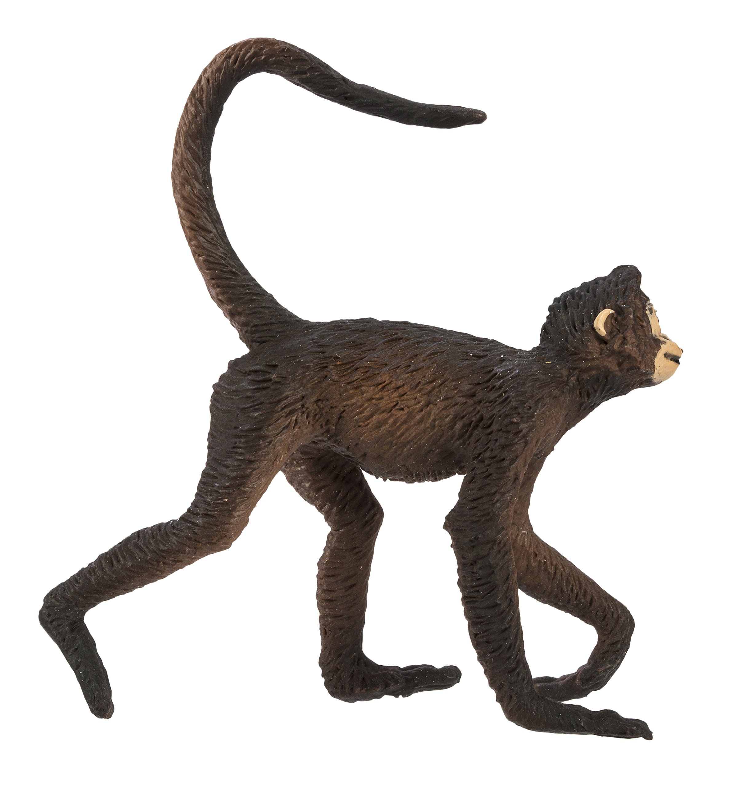Foto 7 pulgar | Figurine Safari Ltd. Spider Monkey Realistic 3 Wildlife De Más De 3 Años - Venta Internacional.