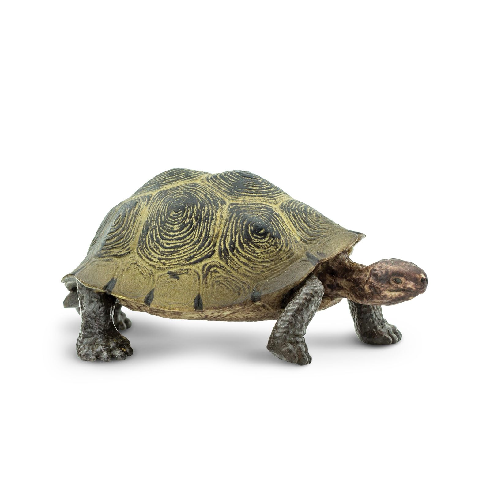 Juguete Figurine Safari Ltd. Desert Tortoise 3.25 Wildlife Para Niños Mayores De 3 Años - Venta Internacional.