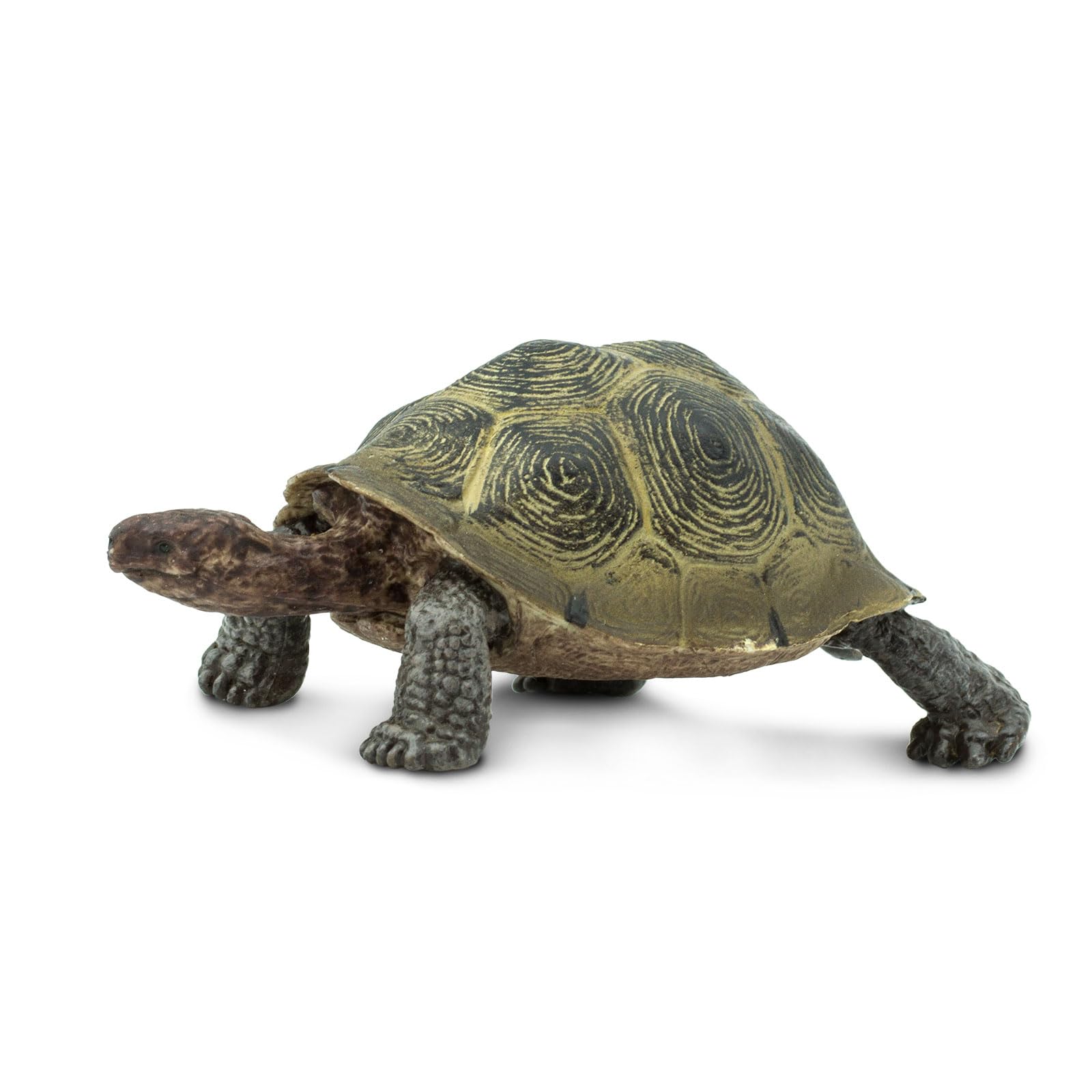 Foto 3 pulgar | Juguete Figurine Safari Ltd. Desert Tortoise 3.25 Wildlife Para Niños Mayores De 3 Años - Venta Internacional.
