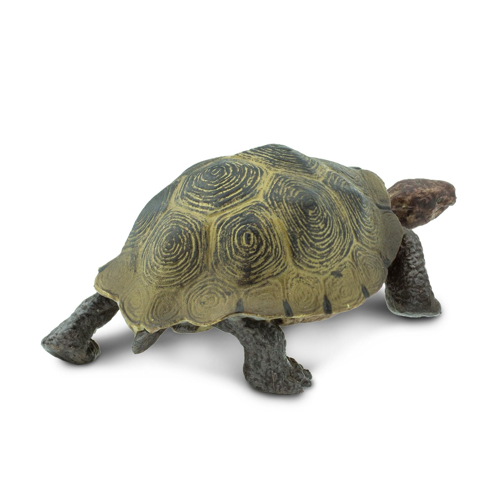 Foto 4 pulgar | Juguete Figurine Safari Ltd. Desert Tortoise 3.25 Wildlife Para Niños Mayores De 3 Años - Venta Internacional.