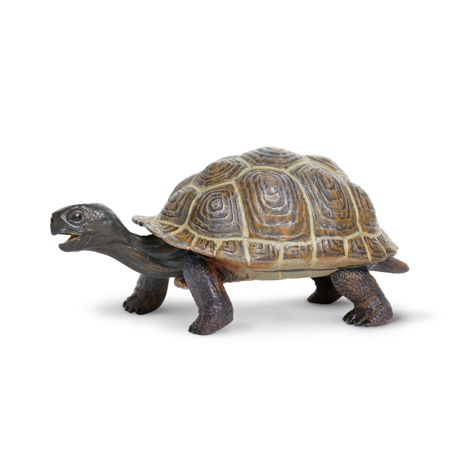 Estatuine Safari Ltd. Tortoise Baby 14 Cm, Plástico, Modelo 18m+ - Venta Internacional.