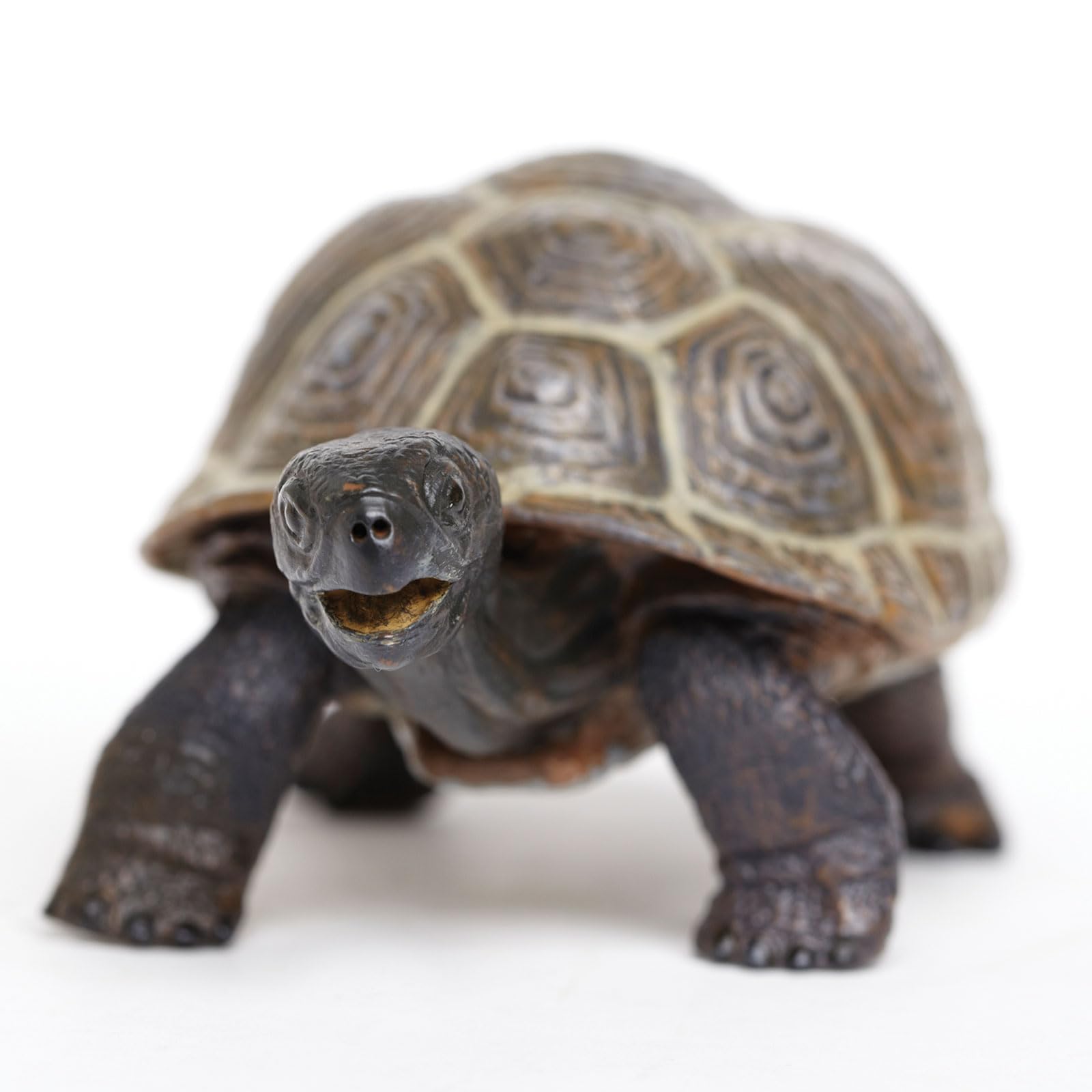 Foto 3 | Estatuine Safari Ltd. Tortoise Baby 14 Cm, Plástico, Modelo 18m+ - Venta Internacional.