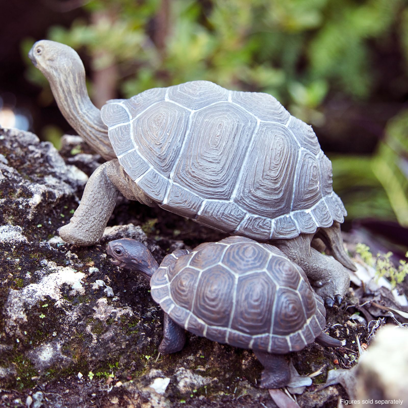 Foto 6 pulgar | Estatuine Safari Ltd. Tortoise Baby 14 Cm, Plástico, Modelo 18m+ - Venta Internacional.