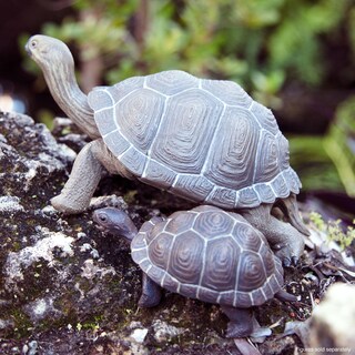 Foto 5 | Estatuine Safari Ltd. Tortoise Baby 14 Cm, Plástico, Modelo 18m+ - Venta Internacional.