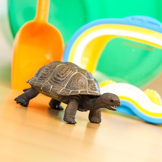 Foto 6 | Estatuine Safari Ltd. Tortoise Baby 14 Cm, Plástico, Modelo 18m+ - Venta Internacional.