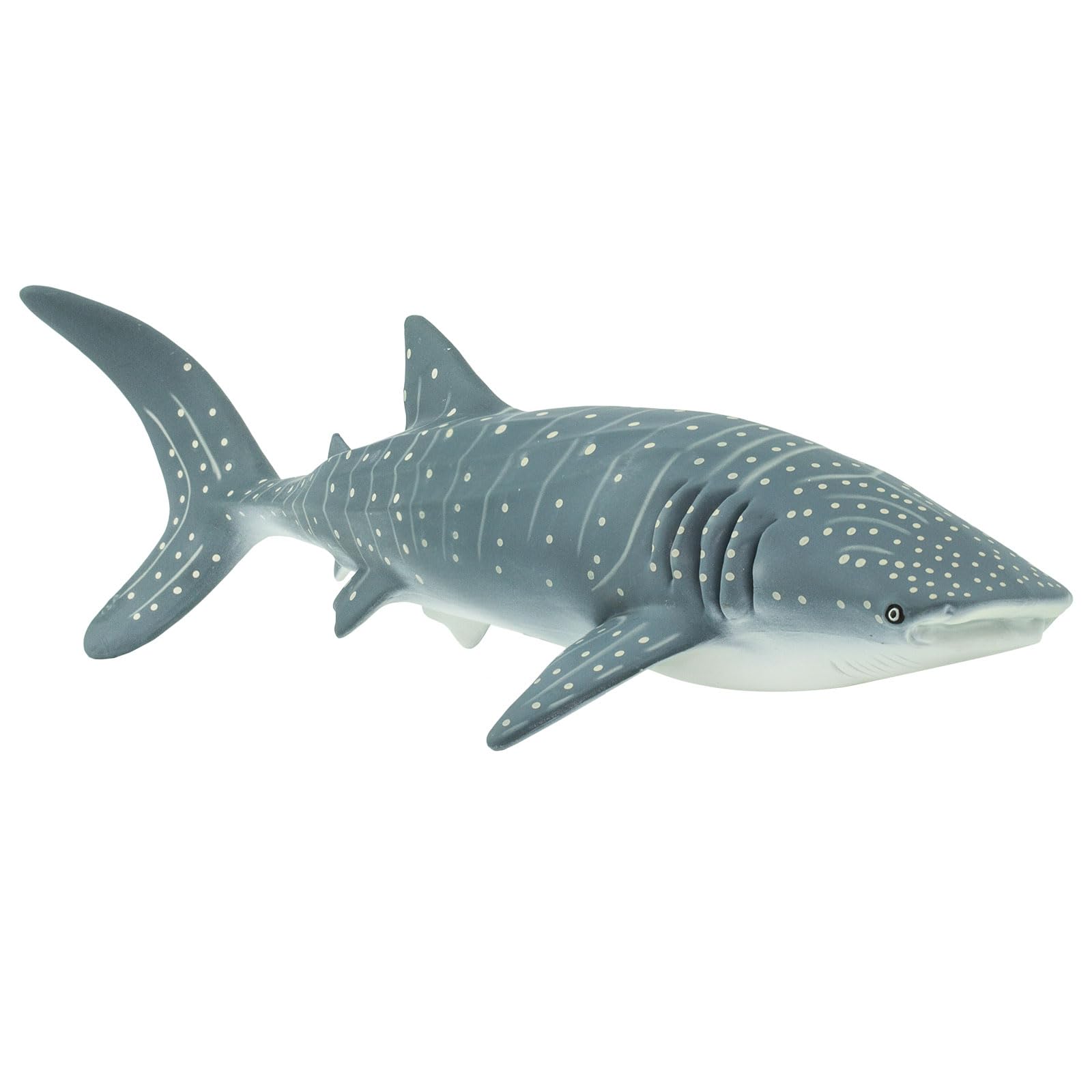 Foto 4 pulgar | Figura Safari Ltd., Modelo De Tiburón Ballena, 23,5 Cm, Plástico, Más De 3 Años - Venta Internacional.