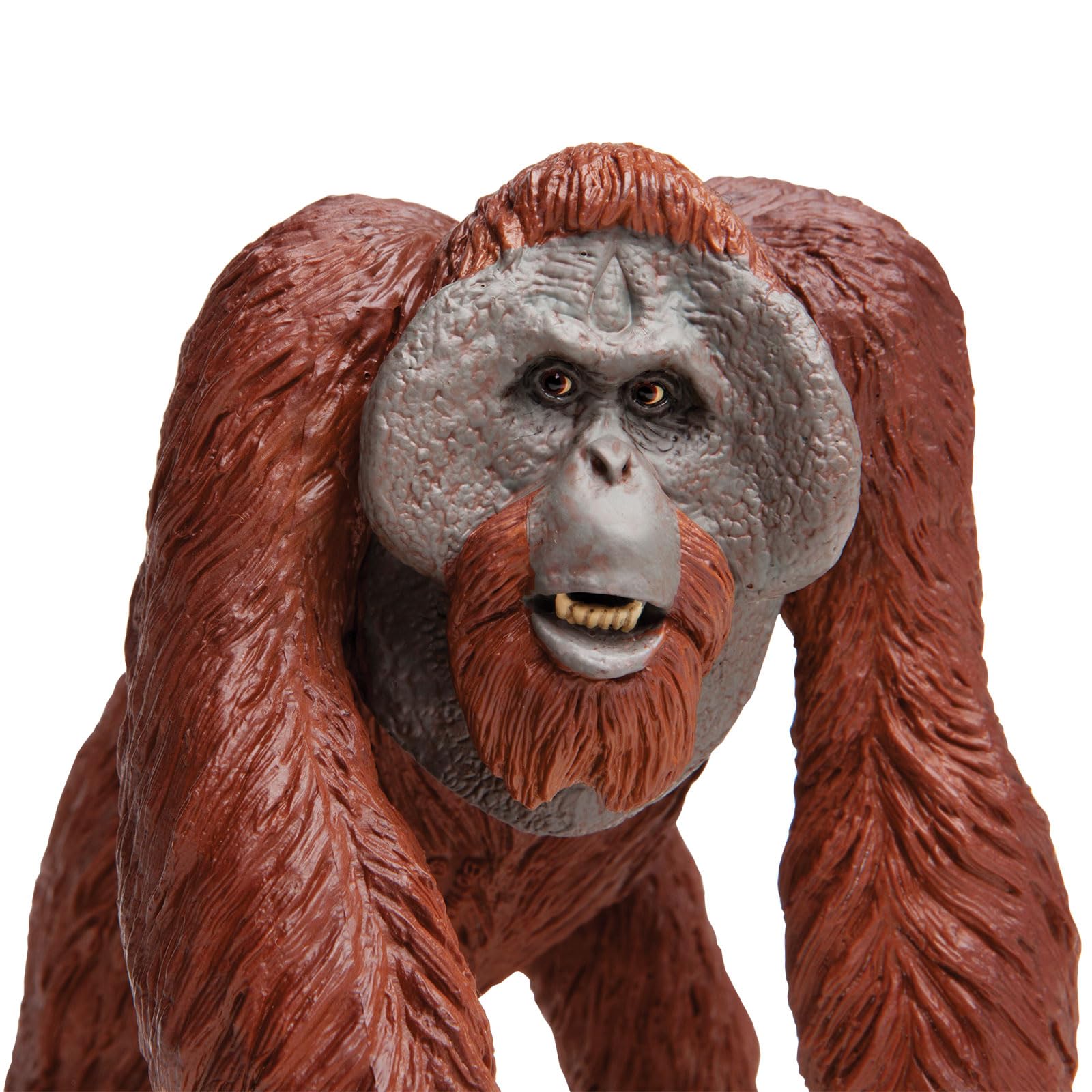 Foto 3 pulgar | Figura De Juguete Safari Ltd., Orangután De Borneo, 13 Cm, Plástico, Más De 3 Años - Venta Internacional.