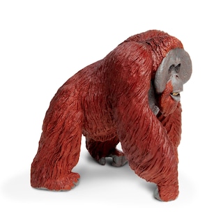 Foto 4 | Figura De Juguete Safari Ltd., Orangután De Borneo, 13 Cm, Plástico, Más De 3 Años - Venta Internacional.