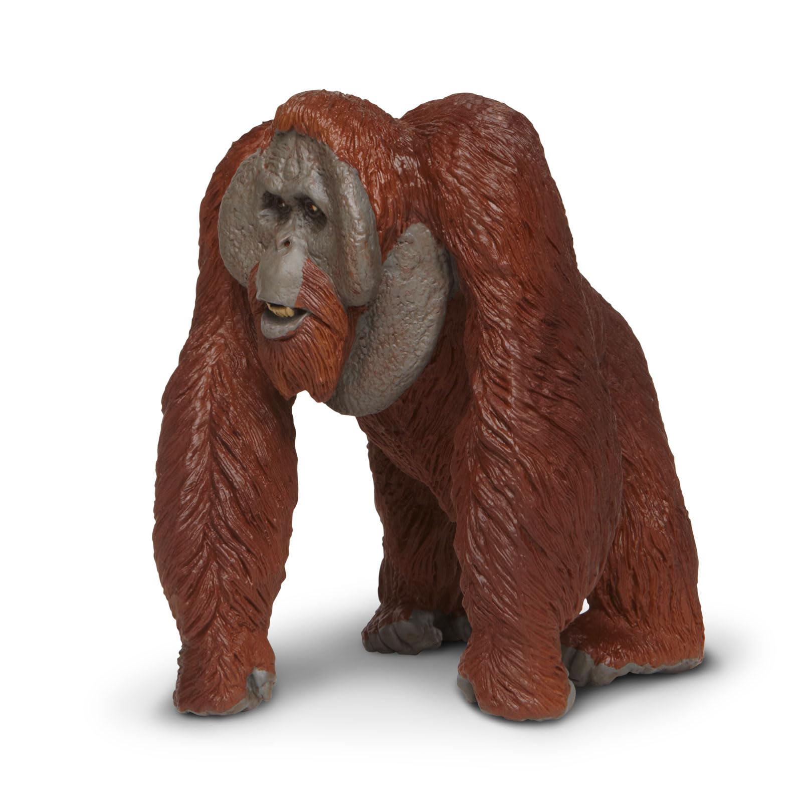 Foto 8 pulgar | Figura De Juguete Safari Ltd., Orangután De Borneo, 13 Cm, Plástico, Más De 3 Años - Venta Internacional.