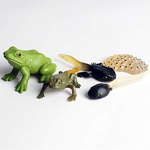 Foto 8 pulgar | Figuras Gemini & Genius Life Cycle Of Frog Para Niños Mayores De 3 Años - Venta Internacional.