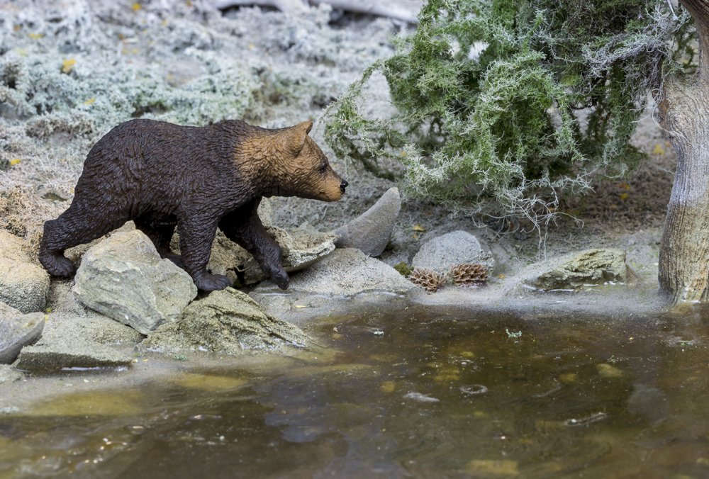 Foto 7 pulgar | Cachorro De Oso Grizzly De Figurine Safari Ltd., Wild Safari, North Amer - Venta Internacional.
