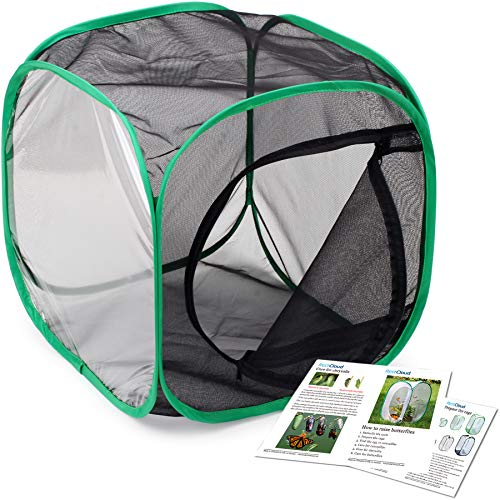 Restcloud Jaula Para Hábitat De Insectos Y Mariposas Terrario Pop-up 12 X 12 X 12 Pulgadas - Venta Internacional.