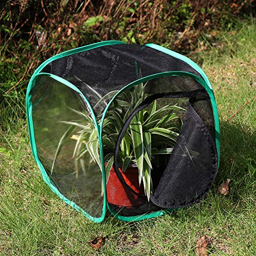 Foto 4 pulgar | Restcloud Jaula Para Hábitat De Insectos Y Mariposas Terrario Pop-up 12 X 12 X 12 Pulgadas - Venta Internacional.