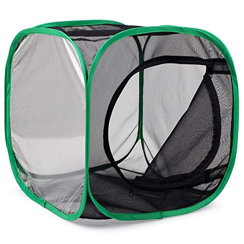Foto 6 pulgar | Restcloud Jaula Para Hábitat De Insectos Y Mariposas Terrario Pop-up 12 X 12 X 12 Pulgadas - Venta Internacional.