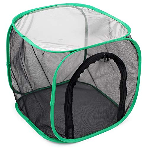 Foto 7 pulgar | Restcloud Jaula Para Hábitat De Insectos Y Mariposas Terrario Pop-up 12 X 12 X 12 Pulgadas - Venta Internacional.