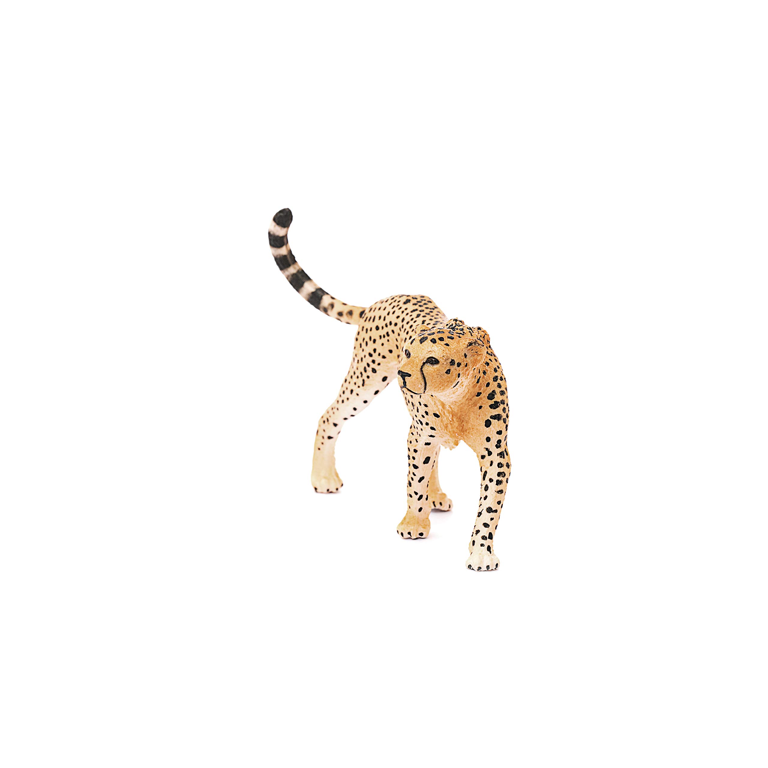 Foto 6 pulgar | Figura De Animal Schleich Wild Life Hembra De Guepardo De 3 Años O Más - Venta Internacional.