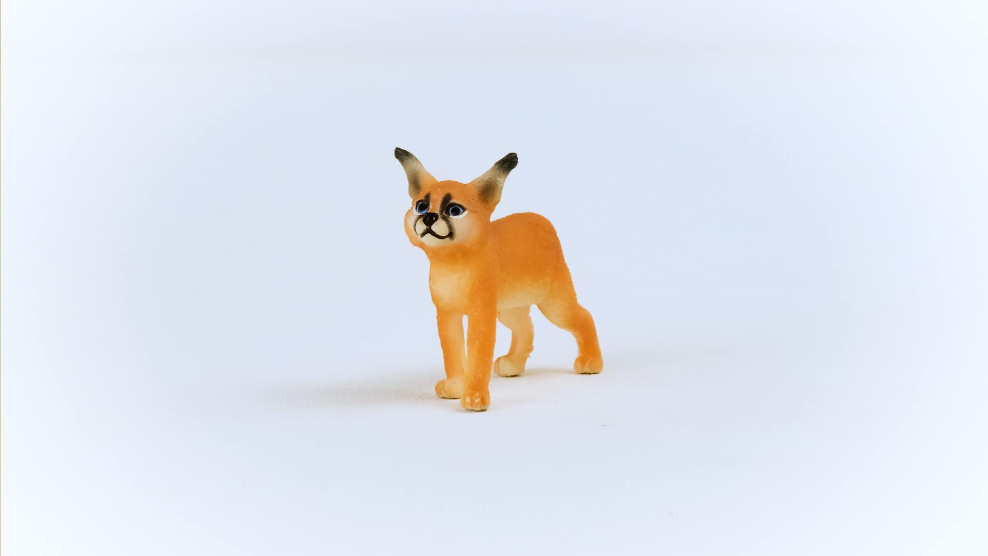 Foto 4 pulgar | Figura De Juguete Schleich Wild Life New 2023 Baby Caracal Kids 3+ - Venta Internacional.