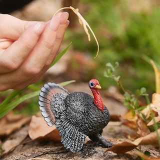 Foto 2 | Figura De Juguete Schleich Farm World Turkey Bird Para Niños A Partir De 3 Años - Venta Internacional.