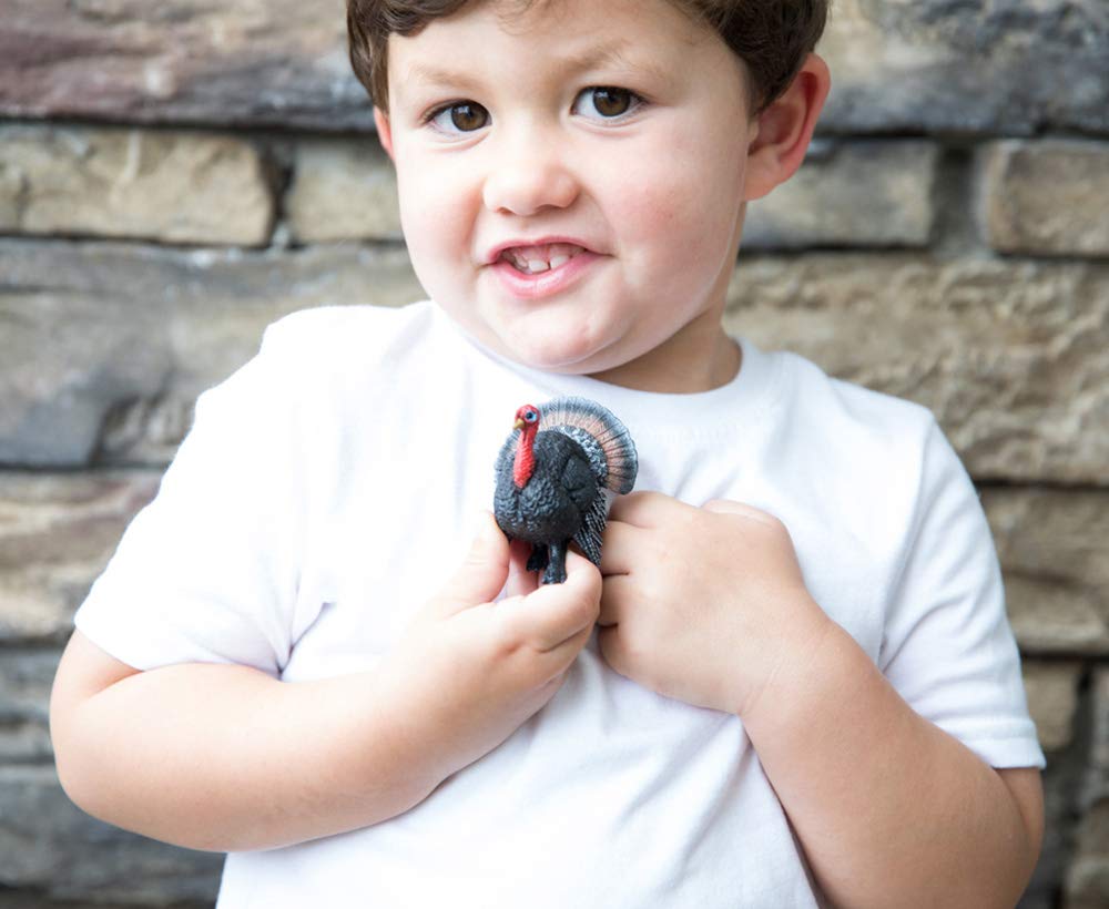 Foto 4 pulgar | Figura De Juguete Schleich Farm World Turkey Bird Para Niños A Partir De 3 Años - Venta Internacional.